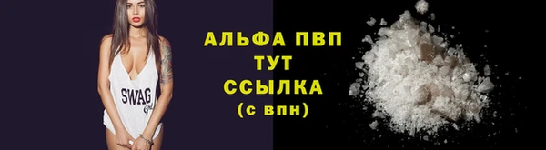 прущие грибы Саяногорск