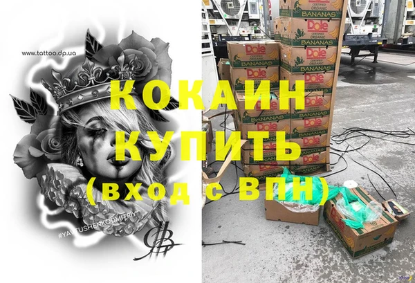 прущие грибы Саяногорск